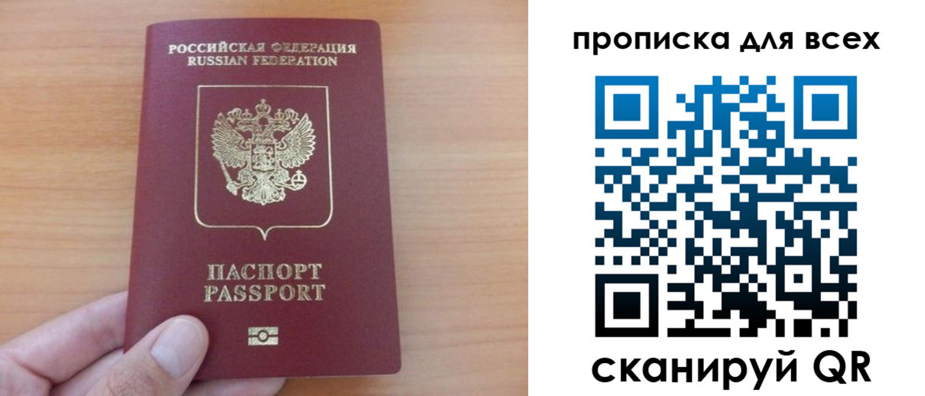 прописка поиск в Алексеевке